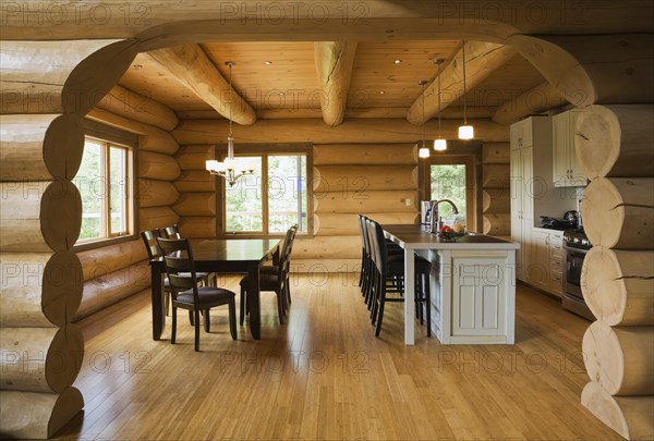 Dark brown stained wooden table with upholstered seat high back chairs and white painted island with bar stools in open concept dining room and kitchen with varnished floorboards viewed through wooden log arch inside luxurious Scandinavian style log cabin home, Quebec, Canada, North America