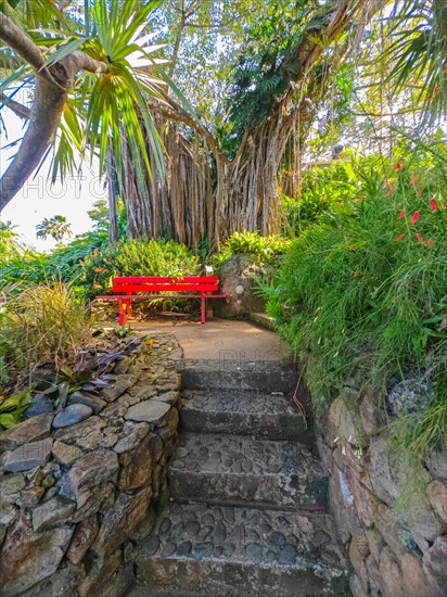Jardin Botaniqu de Deshaies, botanical garden with flora and fauna in Guadeloupe, Caribbean, French Antilles