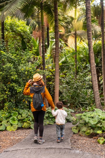 A woman and a child are walking through a forest. The woman is wearing a yellow hat and a backpack. The child is holding the woman's hand