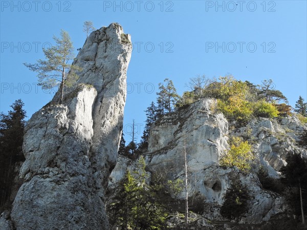 Rock on the Danube Valley Trail near Scheuerlehof, Upper Danube nature park Park, Fridingen, Tuttlingen district, Baden-Wuerttemberg, Germany, Europe