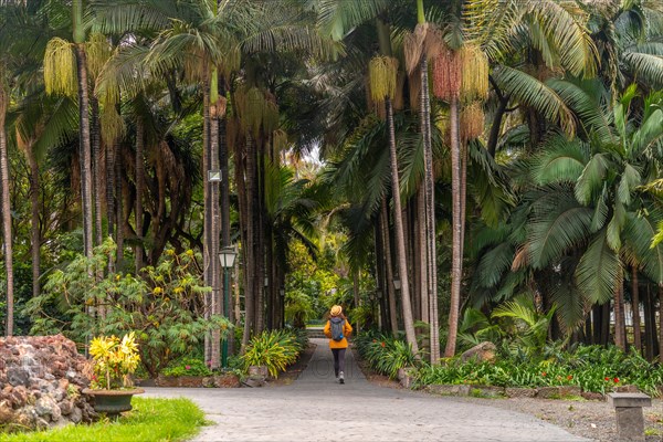 A person is walking through a forest with palm trees. The person is wearing a yellow jacket. The forest is lush and green, with many trees and plants