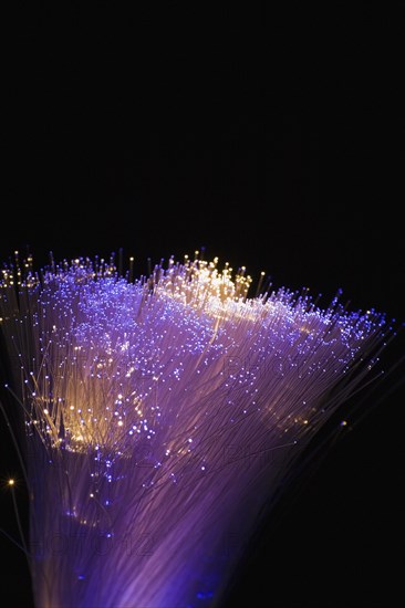Close-up of purple, blue and white lighted fibre optic cables, Studio Composition, Quebec, Canada, North America