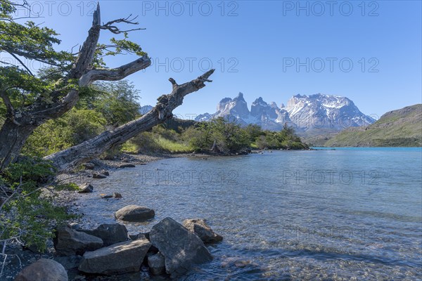 Lago Pehoe, mountain range of the Andes, Torres del Paine National Park, Parque Nacional Torres del Paine, Cordillera del Paine, Towers of the Blue Sky, Region de Magallanes y de la Antartica Chilena, Ultima Esperanza province, UNESCO biosphere reserve, Patagonia, end of the world, Chile, South America