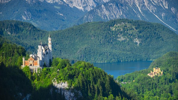 Neuschwanstein Castle, Hohenschwangau near Fuessen, Ostallgaeu, Allgaeu, Bavaria, Germany, Europe