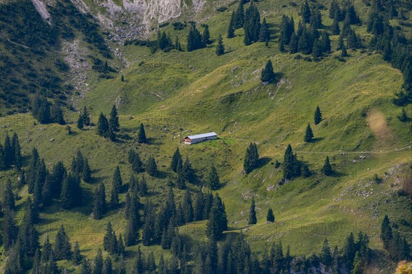 Obere Lugen Alpe in the Oytal valley below the Hahnenkoepfl, Allgaeu Alps, Allgaeu, Bavaria, Germany, Europe