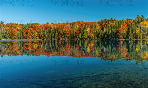 The vibrant colors of autumn reflected in the crystal-clear waters of the lake AI generated