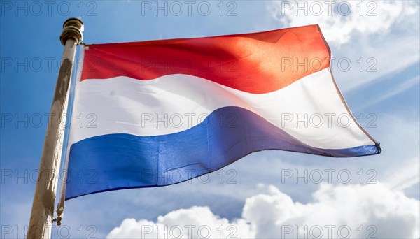 Flags, the national flag of the Netherlands, Holland, fluttering in the wind