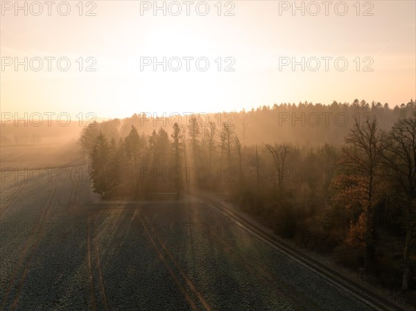 Sunbeams break through the trees and illuminate a foggy country lane in the morning, Gechingen, Black Forest, Germany, Europe