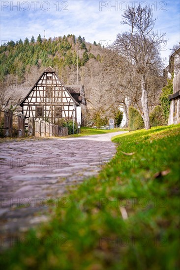 Half-timbered house at the end of a grassy path, quiet atmosphere, Calw, Black Forest, Germany, Europe