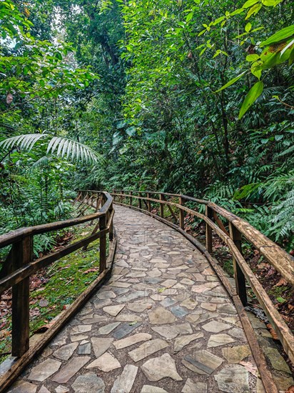 Jardin Botaniqu de Deshaies, botanical garden with flora and fauna in Guadeloupe, Caribbean, French Antilles