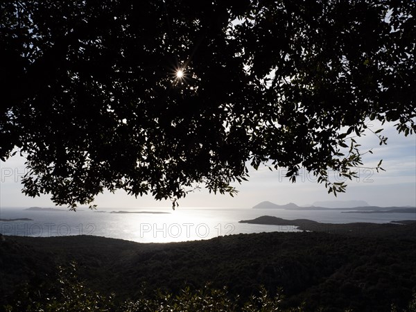 Glittering sea against the light, near Olbia, Sardinia, Italy, Europe