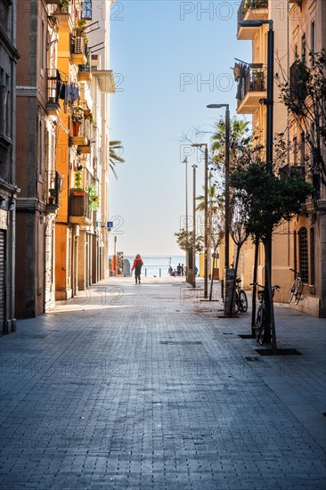 Street in Barcelonata, an old neighbourhood at the port of Barcelona, Spain, Europe