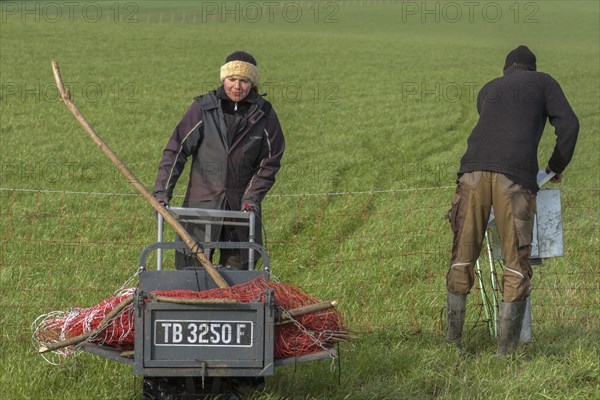 Shepherd and his daughter fence a new pasture with a solar panel for the electric fence, Mecklenburg-Western Pomerania, Germany, Europe