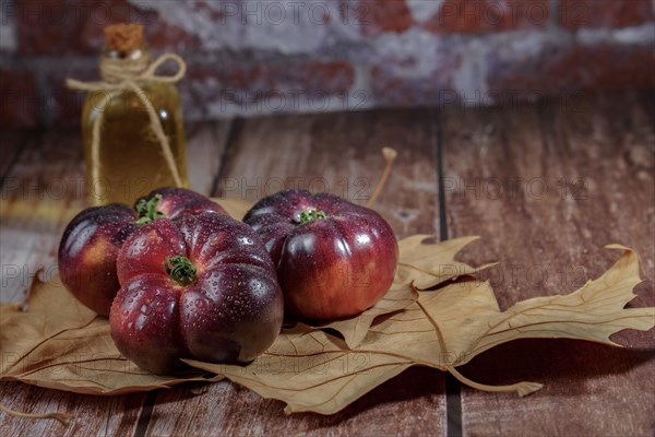 Group of tasty fresh tomatoes of the blue variety with drops of water on dry leaves next to ears of wheat with a bottle of olive oil in the background