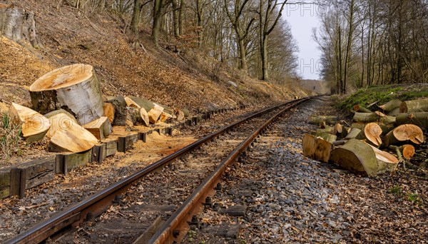 Narrow-gauge railway bed of the Raging Roland, Ruegen, Mecklenburg-Western Pomerania, Germany, Europe