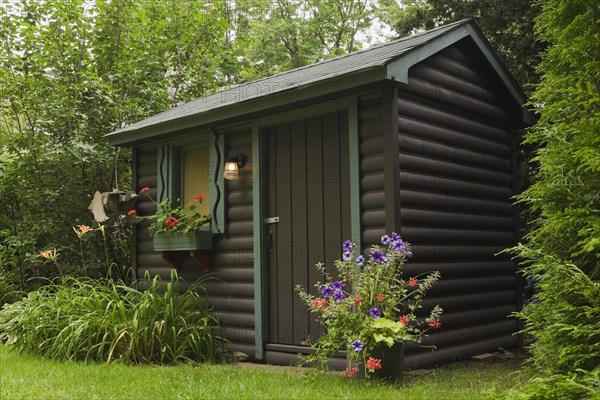 Brown painted D-Log shaped log cabin style garden storage shed with red Pelargonium, Geraniums in flower box bordered by orange Hemerocallis, Daylilies and container with purple and red flowers in backyard in summer, Quebec, Canada, North America