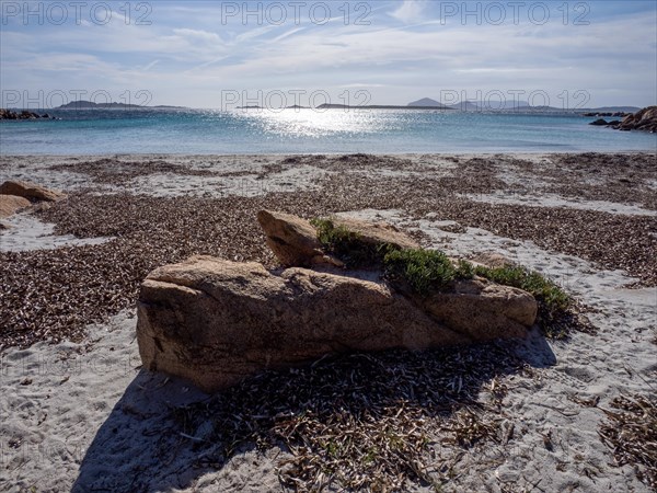 Sandy beach beach, secluded bay, Capriccioli beach, Costa Smeralda, Sardinia, Italy, Europe