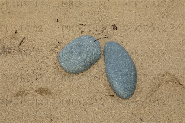 Stones in the sand of the dunes, beach, LLanddwyn Bay, Newborough, Isle of Anglesey, Wales, Great Britain