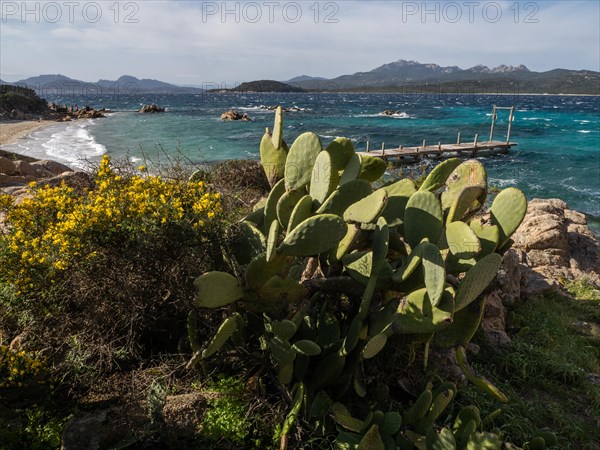 Jetty leading into the sea, Capriccioli beach, Costa Smeralda, Sardinia, Italy, Europe