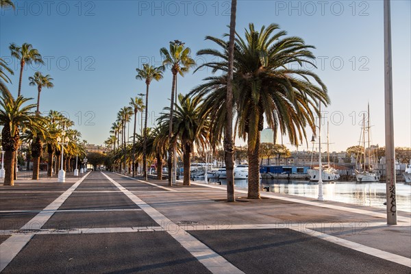 Promenade at the old harbour with palm trees in Barcelona, Spain, Europe