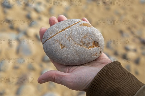 Woman holding stone in hand, beach, LLanddwyn Bay, Newborough, Isle of Anglesey, Wales, Great Britain