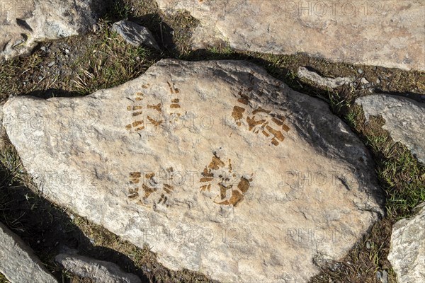 Footprints, LLyn Idwal footpath, Snowdonia National Park near Pont Pen-y-benglog, Bethesda, Bangor, Wales, Great Britain