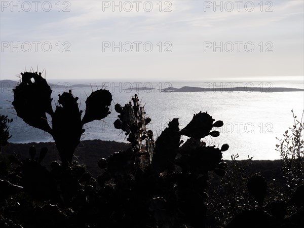 Glittering sea against the light, near Olbia, Sardinia, Italy, Europe