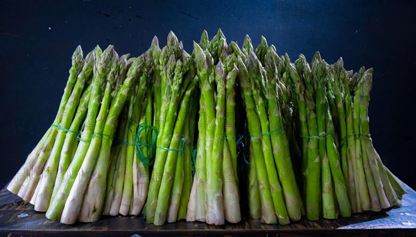 Several bundles of green asparagus lined up in front of a dark background, AI generated, AI generated