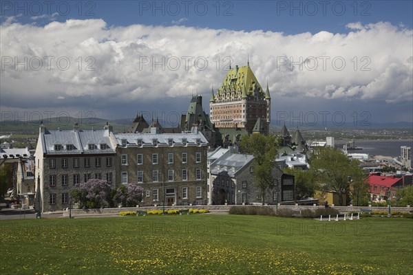 Old historic residential architectural buidings along ave. Saint-Denis and Chateau Frontenac plus sloped green grass field with yellow Taraxacum officinale, Dandelion flowers in late spring, Upper Town, Old Quebec City, Quebec, Canada, North America
