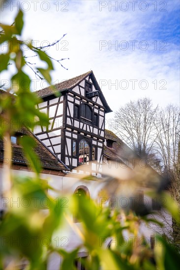Half-timbered house with a blue sky in the background, foreground blurred, Calw, Black Forest, Germany, Europe