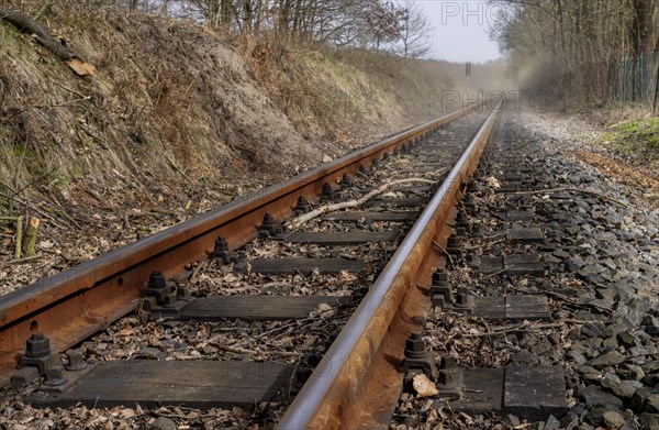 Narrow-gauge railway bed of the Raging Roland, Ruegen, Mecklenburg-Western Pomerania, Germany, Europe