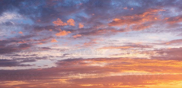 Clouds in the evening light at sunset, sunset, panorama, wallpaper, sky replacement