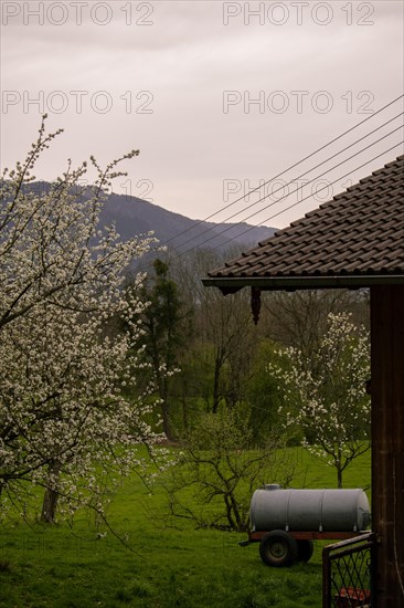 A flowering tree next to a water tank with a view of a mountainous landscape, Neubeuern, Germany, Europe