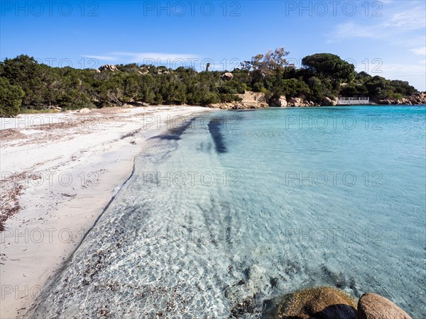 Sandy beach beach, secluded bay, Capriccioli beach, Costa Smeralda, Sardinia, Italy, Europe