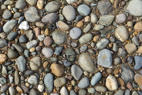 Stones, beach, LLanddwyn Bay, Newborough, Isle of Anglesey, Wales, Great Britain