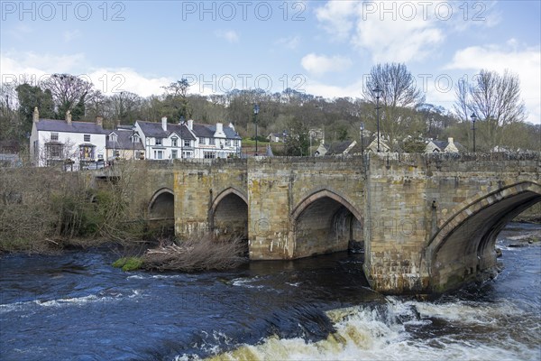 Houses, bridge, River Dee, LLangollen, Wales, Great Britain
