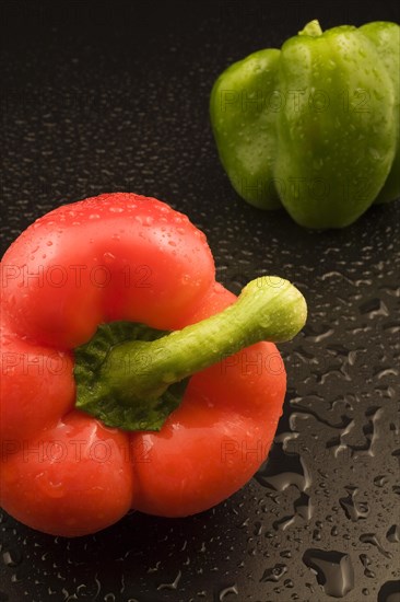 Close-up of freshly picked and washed red and green Capsicum annuum, Bell Peppers on black background with water droplets, Studio Composition, Quebec, Canada, North America