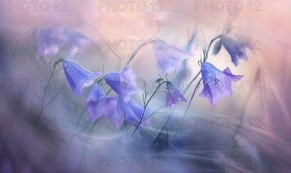 Bellflowers swaying in the breeze, closeup view, soft focus, bokeh AI generated