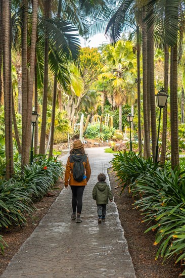 A mother with her son walking in a tropical botanical garden with many palm trees, family vacation concept