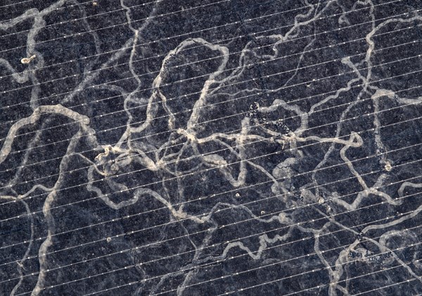 Sahara dust on a solar module, solar panel, a balcony system on a green roof, Braunschweig, Lower Saxony, Germany, Europe