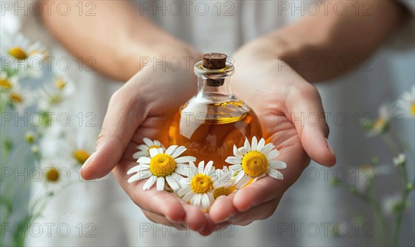 Hands holding bottle of chamomile essential oil, organic cosmetic, beauty in nature, closeup view AI generated