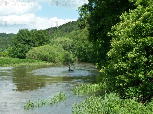 Ford of the Danube seepage point at high water level, Immendingen, Tuttlingen district, Baden-Wuerttemberg, Germany, Europe