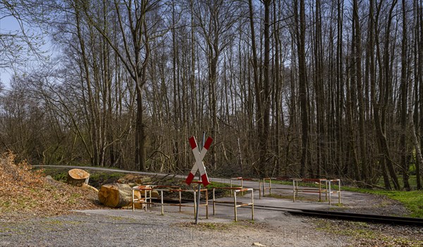 Narrow-gauge railway bed of the Raging Roland, Ruegen, Mecklenburg-Western Pomerania, Germany, Europe