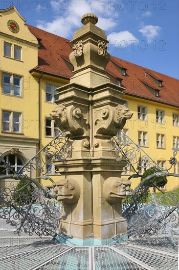 Fountain with lion heads, stone figures, Winnental Castle built in the 15th century by the Teutonic Knights as the seat of the Winnender Kommende, former castle of the Teutonic Order, today Winnenden Castle Clinic Centre for Psychiatry, castle building, historical building, architecture, castle park, Winnenden, Rems-Murr-Kreis, Baden-Wuerttemberg, Germany, Europe