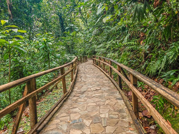 Jardin Botaniqu de Deshaies, botanical garden with flora and fauna in Guadeloupe, Caribbean, French Antilles