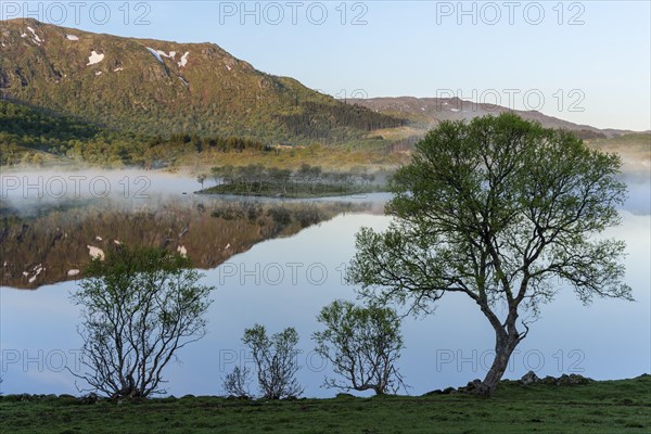 Landscape in the Lofoten Islands. Lake Lilandsvatnet, mountains in the background. Trees in the foreground. A light morning mist forms over the water. At night at the time of the midnight sun in good weather, blue sky. Golden hour. Reflection. Early summer. Vestvagoya, Lofoten, Norway, Europe