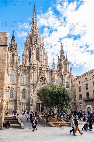 Cathedral in Barcelona, Spain, Europe