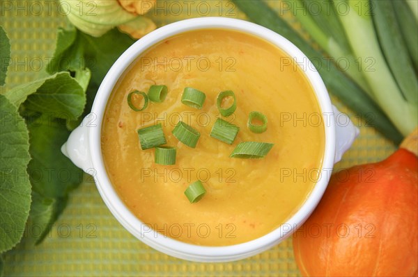 South German cuisine, pumpkin soup, Hokkaid soup, pumpkin, fruit vegetables, fruit, healthy cooking, vegetarian, vegan, autumn cuisine, pumpkin dishes, food, studio, soup bowl, lion's head bowl, Germany, Europe