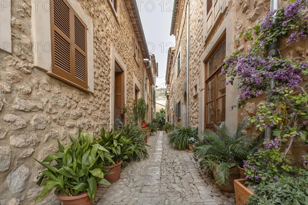 Amazing photos of Casc antic Fornalutx, Mallorca, Spain, Europe