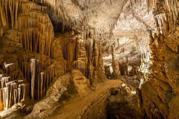 Amazing photos of Drach Caves in Mallorca, Spain, Europe